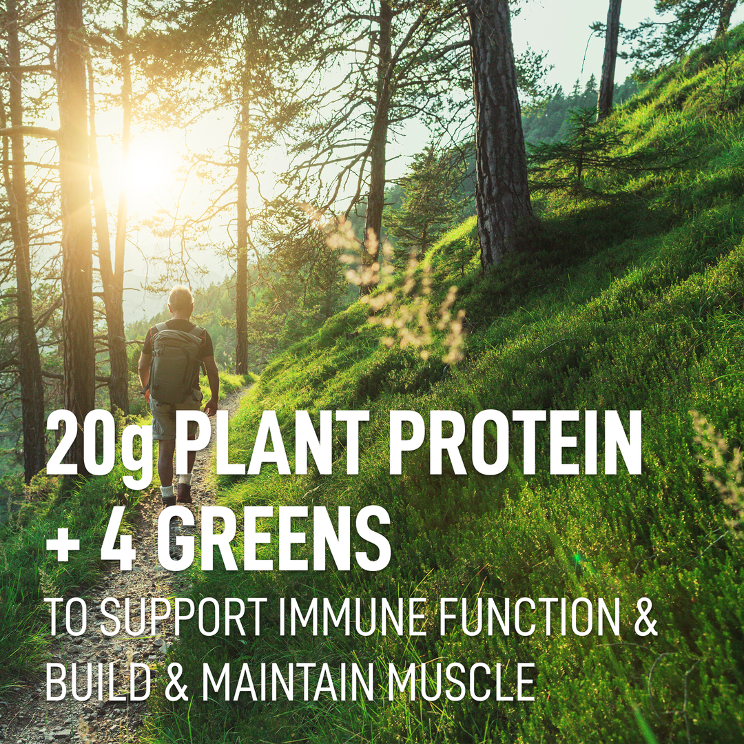 LEANFIT PLANT-BASED PROTEIN & GREENS™ Vanilla 517g