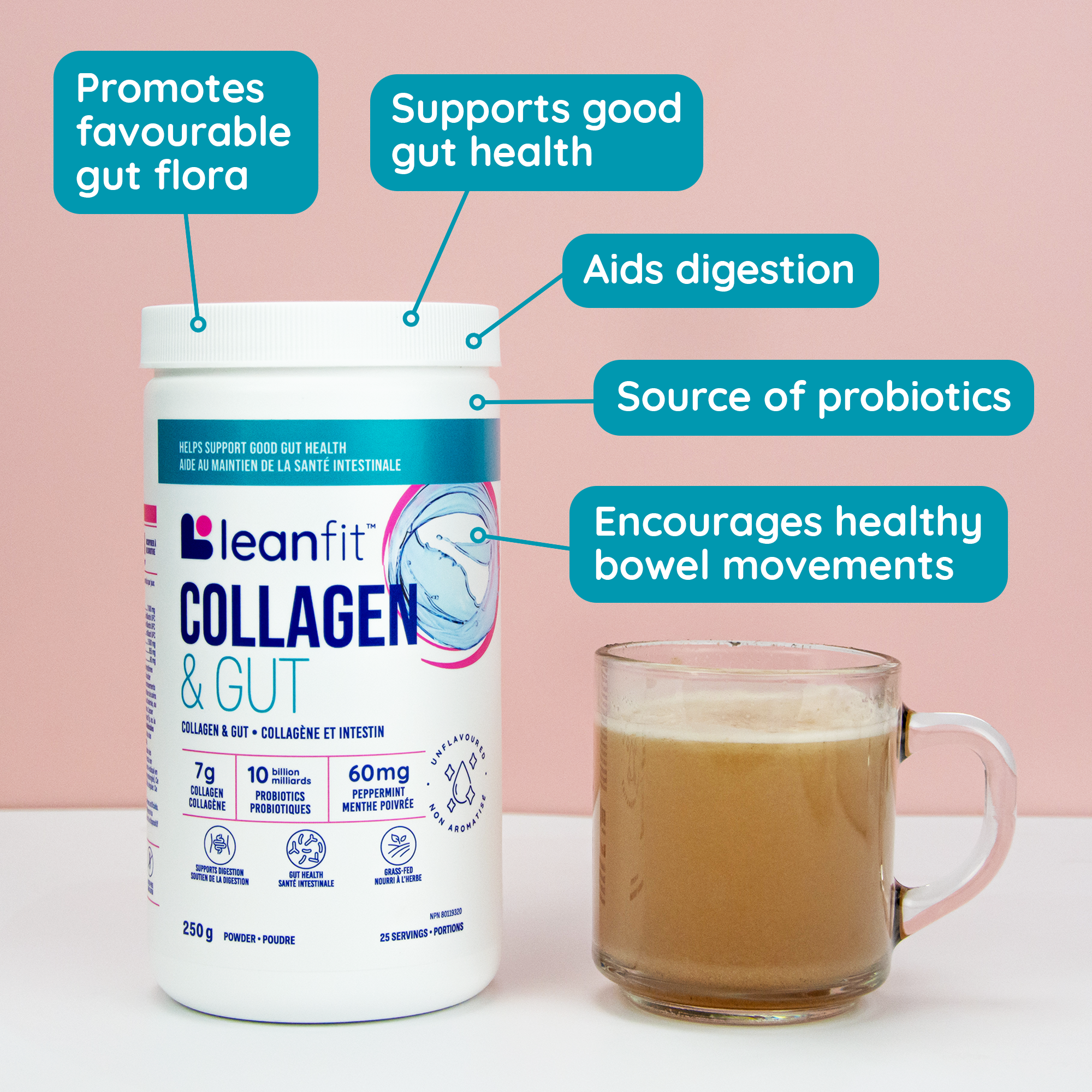 LEANFIT Collagen & Gut — promotes normal gut flora, supports good gut health, aids digestion, and encourages healthy bowel movements; source of probiotics