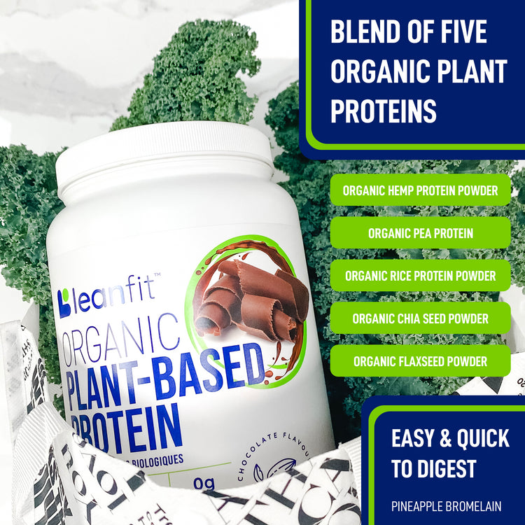 Scoop of LEANFIT Organic Chocolate Plant Protein Powder with Blend of Five Organic Plant Proteins and Clean Nutrition
