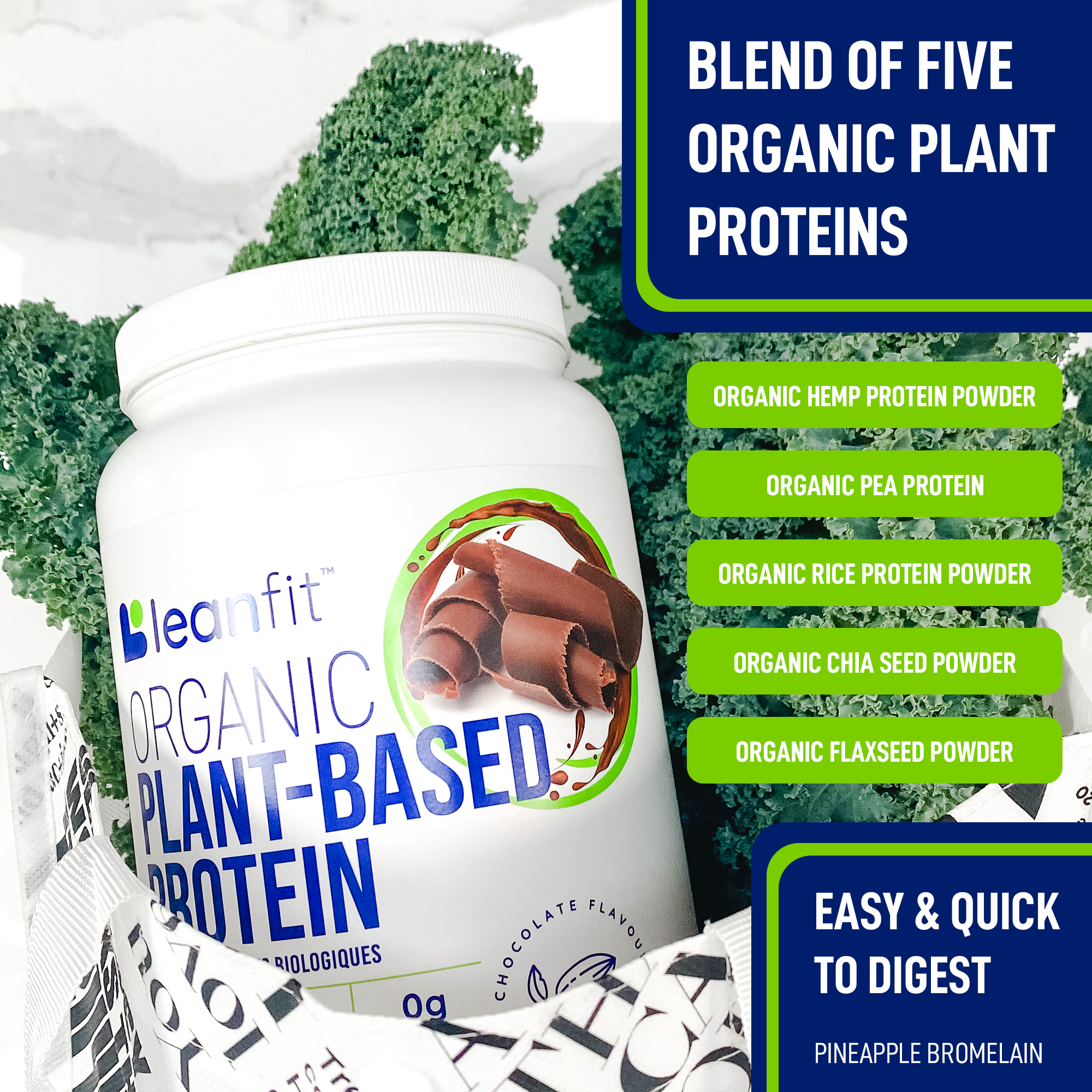 Scoop of LEANFIT Organic Chocolate Plant Protein Powder with Blend of Five Organic Plant Proteins and Clean Nutrition